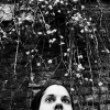8-sophie-anne-herin-dettaglio-occhi-2013