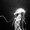 Stored deep inside me 6 - Federico Giordano