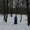 11.winter fall