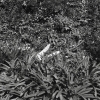 4.outdoor.