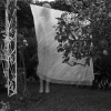 7.black and white balance