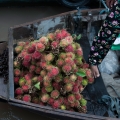 4_DSC0575---web