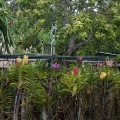6_DSC0759---web