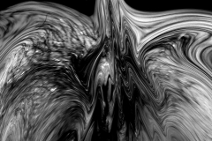 Urna di carne_07